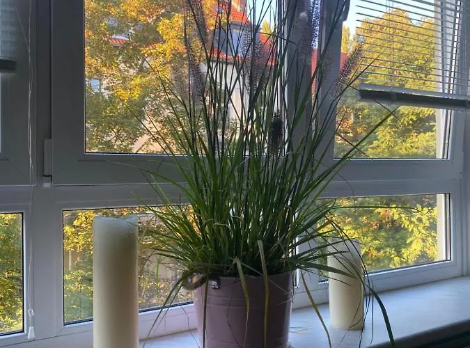 Privatapartment Relax-inn, Netflix & Sky Tv! *